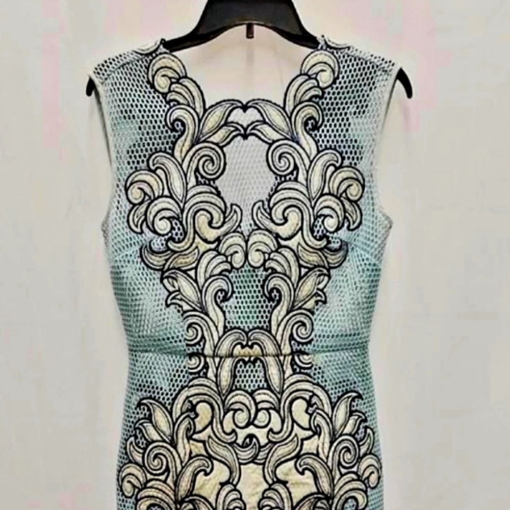 NWT TOPSHOP Beautiful dress